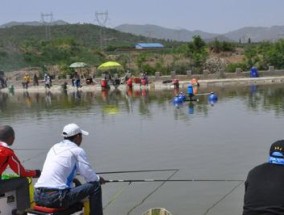 炎热夏日钓鱼技巧（掌握高温下的黑坑钓鱼窍门）