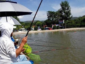 钓鱼黑坑技巧经验——捕鱼技巧大揭秘（提升成功率的必备技巧与经验分享）