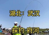 骆马湖野钓的最佳时间和技巧（探寻骆马湖野钓宝藏）