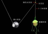 掌握抛竿钓法，成为钓鱼高手（九个技巧帮你提升抛竿钓法水平）