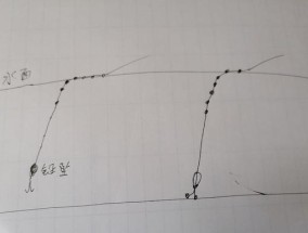 抛竿钓草鱼的调漂技巧（掌握合理调漂方法）