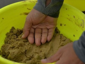 通威粉钓鱼开饵技巧水比（掌握关键的开饵技巧）