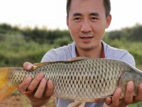 夏日炎炎，如何野钓不被酷暑阻挡（夏日野钓技巧分享）