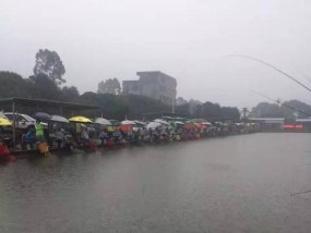 雨天钓鱼技巧（乐享鱼儿天堂指南详解）