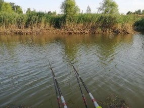 济阳大河钓鱼的技巧与方法（探索济阳大河钓鱼的乐趣）