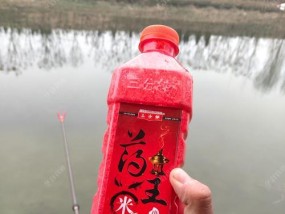 大水面钓鱼打窝技巧（技巧）