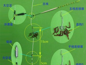 水库钓鱼矶竿调漂技巧与方法（提升钓鱼技巧）