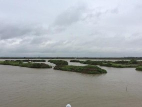 流水鱼塘钓草鱼技巧（掌握这些技巧）