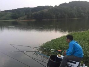 深水小水库钓鱼技巧（探秘深水小水库的钓鱼技巧）