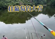 吹冷风钓鱼技巧教学？如何在寒冷天气中提高钓鱼成功率？