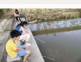 农场钓鱼新手技巧教学（掌握农场钓鱼的基本技巧）