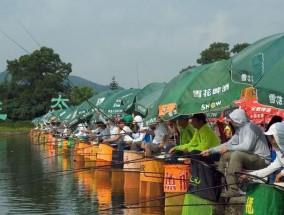 新河口钓鱼技巧大揭秘（提高钓鱼成功率的实用技巧）