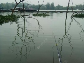 冬季下雨钓鱼的技巧和方法（钓鱼爱好者必看）