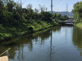 夏日钓鱼的绝佳技巧（轻松应对闷热天气）