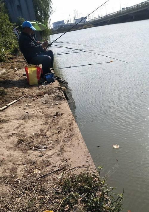 初夏晴天钓鱼技巧（享受阳光下的垂钓乐趣）  第1张