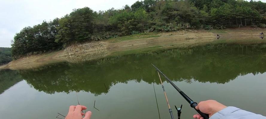 初夏水库野钓技巧（初夏水库钓鱼，助你收获满满）  第2张