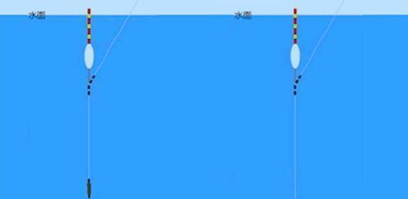 初学者钓鱼调浮漂技巧（轻松掌握钓鱼调浮漂，享受垂钓乐趣）  第1张