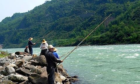 夏季降温钓鱼野钓技巧（享受清凉，畅快钓鱼乐趣）  第1张