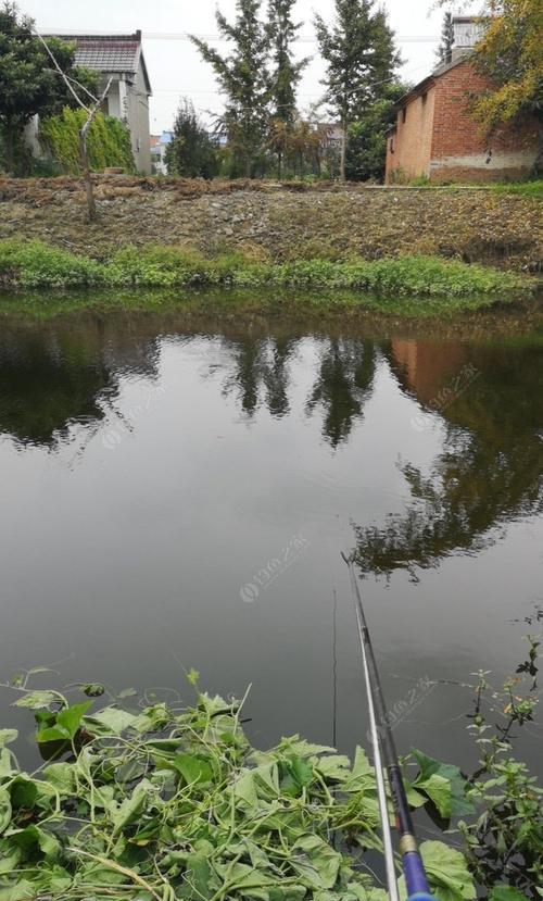 传统钓钓浮的技巧与方法（掌握正确的浮漂钓鱼技巧，提高钓鱼成功率）  第2张