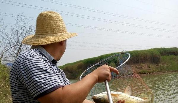 船钓草鱼的技巧与方法（掌握这些关键，让你的船钓草鱼变得轻松又有成效）  第1张