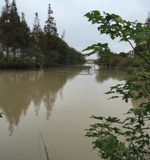 春季野河下雨钓鱼技巧（钓鱼技巧大揭秘｜赶走雨水，抓住大鱼的窍门）  第1张