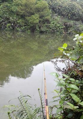 春季野塘钓鱼技巧——让你钓获满满的收获（掌握春季钓鱼技巧，畅享钓鱼乐趣）  第2张