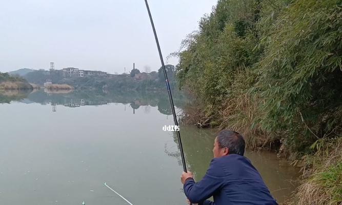 春季迎风钓鱼的技巧（钓鱼技巧、装备选择、天气注意）  第3张