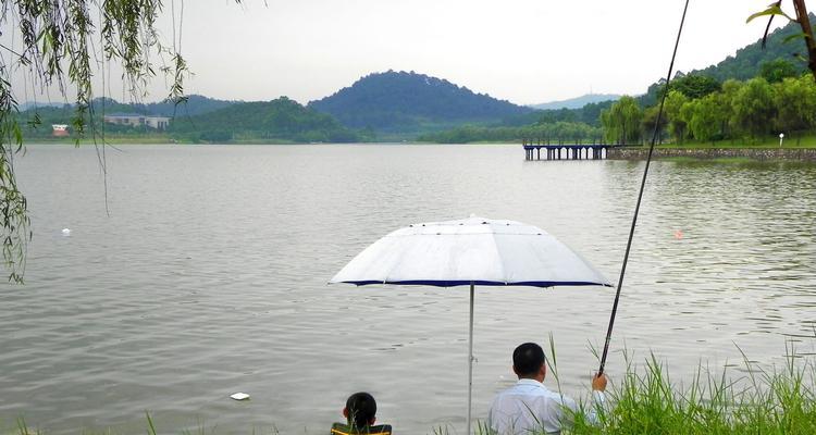 东北春季雨天钓鱼技巧（雨天钓鱼的关键技巧，让你丰收满载）  第1张