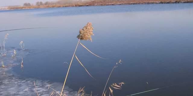 春节期间的野钓技巧与方法（享受钓鱼乐趣，掌握春节野钓技巧）  第2张