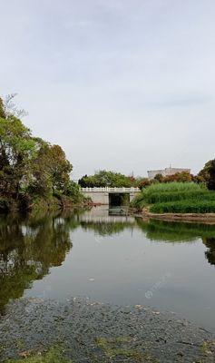 春暖花开，钓鱼技巧大公开（掌握鱼儿心思，享受乐趣无穷）  第2张