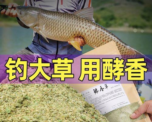 冬季钓草鱼的浮钓技巧（寒冷季节如何成功钓草鱼？）  第3张