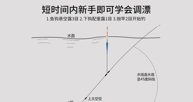 钓鲫鱼调漂技巧（探究鱼钩大小和重量对钓鲫鱼的影响）  第2张