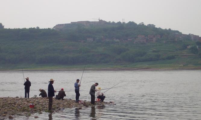 冬季野钓抛竿教学之钓鲫鱼技巧（冬季野钓抛竿教学全解析，轻松掌握钓鲫鱼技巧）  第2张