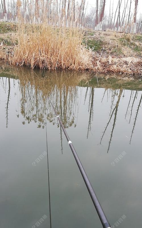 水库钓鱼打窝的必备技巧（提升钓友水库钓鱼打窝能力的关键技巧）  第1张