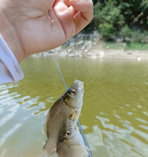 钓鱼绑竿稍的技巧（钓鱼绑竿稍的关键技巧及注意事项）  第3张