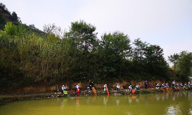 钓鱼比赛的技巧与方法（提升钓鱼比赛水平，分享成功经验）  第1张