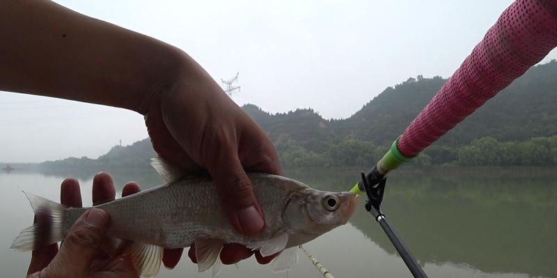 钓鱼蹭窝子的技巧（如何利用钓鱼技巧成功蹭窝子）  第2张