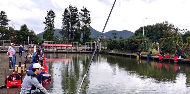 钓鱼场垂钓技巧法（掌握钓鱼场垂钓技巧法提高钓鱼技能）  第1张