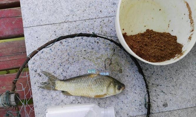 冬季钓鱼搓饵技巧教程（寒冬中的钓鱼乐趣，掌握搓饵的诀窍）  第2张