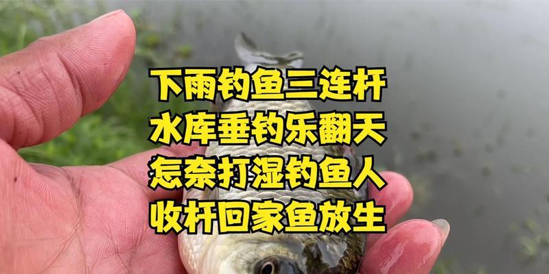 钓鱼打连杆技巧（提高钓鱼效率，掌握连杆技巧）  第3张