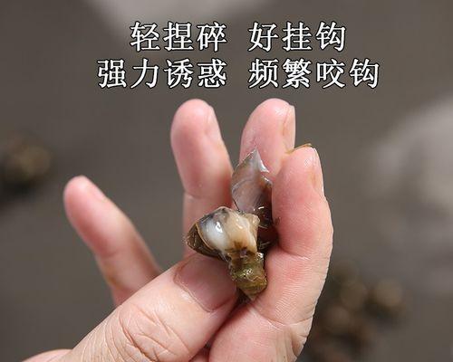 钓鱼打螺蛳的绝妙技巧（探秘螺蛳钓鱼的窍门与策略）  第3张