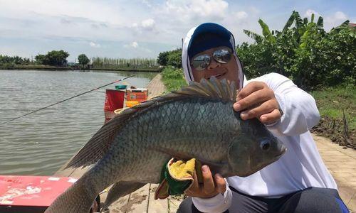 钓鱼高手2技巧大揭秘（提升钓鱼水平，成为钓鱼高手的必备指南）  第3张