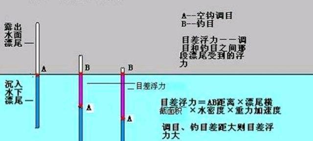 钓鱼调漂技巧大全（掌握这些技巧，成为钓鱼高手！）  第3张