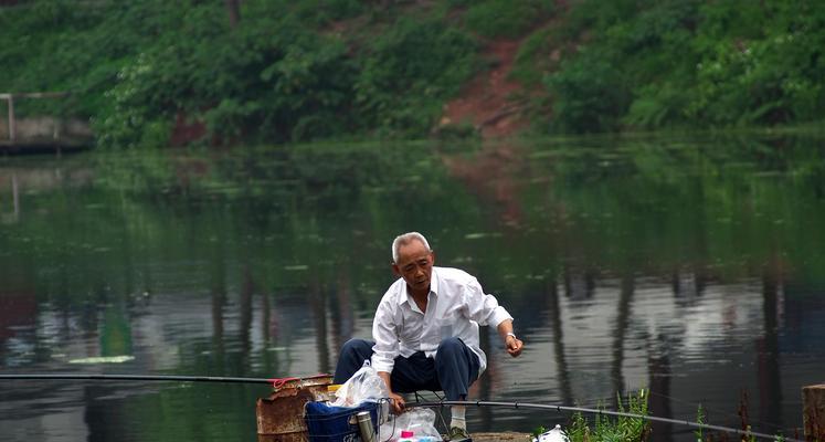 钓鱼工具与技巧大揭秘（打造专业钓鱼装备，捕获丰富渔获）  第3张