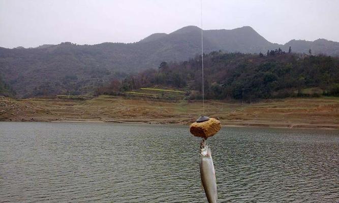 钓鱼湖库选址技巧与方法（探讨理想钓鱼湖库选址的关键因素和步骤）  第1张