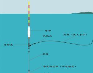 钓鱼滑铅调漂技巧入门（初学者必备的钓鱼技巧及注意事项）  第3张