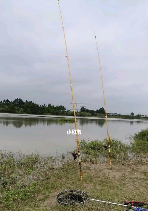 钓鱼技巧大全（十种方法教你成为优秀钓手）  第1张