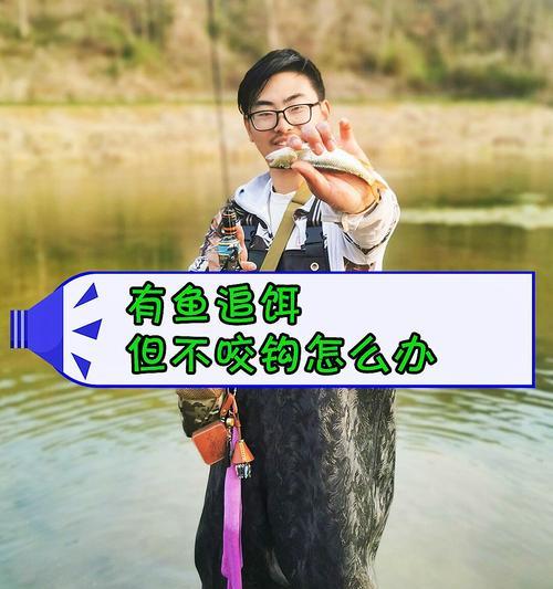 钓鱼技巧小常识，提升你的钓鱼水平！（从入门到精通，掌握这些技巧让你钓得更多鱼）  第2张