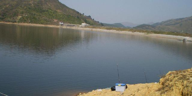 夏季钓鱼技巧新手教学（掌握夏季钓鱼技巧的关键要点）  第1张