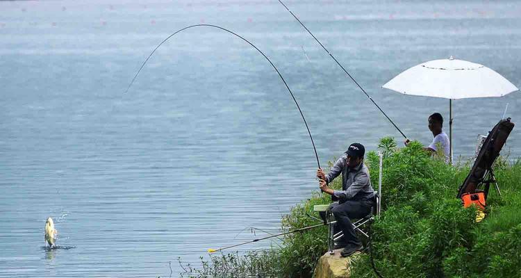 夏季钓鱼技巧新手教学（掌握夏季钓鱼技巧的关键要点）  第3张